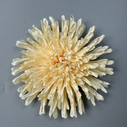50 Pcs 7 Inch Artificial Dragon's Claw Chrysanthemum Flower Heads for Crafts