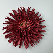 50 Pcs 7 Inch Artificial Dragon's Claw Chrysanthemum Flower Heads for Crafts