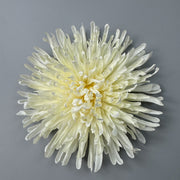 50 Pcs 7 Inch Artificial Dragon's Claw Chrysanthemum Flower Heads for Crafts