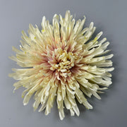 50 Pcs 7 Inch Artificial Dragon's Claw Chrysanthemum Flower Heads for Crafts