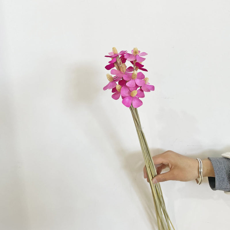 13 Inch Dried Violet Orchid Flowers Bulk Arrangement for Home Decoration