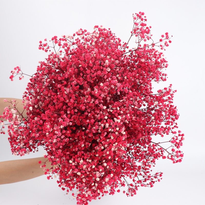 1 Bundle Dried Baby's Breath Gypsy Flowers, Natural Color, Wedding Floral Arrangement, Home Party Decor
