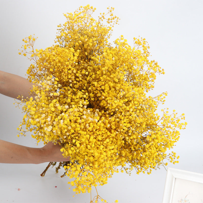 1 Bundle Dried Baby's Breath Gypsy Flowers, Natural Color, Wedding Floral Arrangement, Home Party Decor