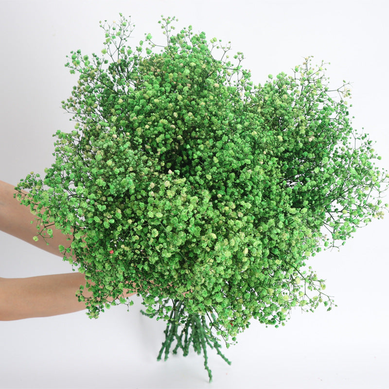 1 Bundle Dried Baby's Breath Gypsy Flowers, Natural Color, Wedding Floral Arrangement, Home Party Decor