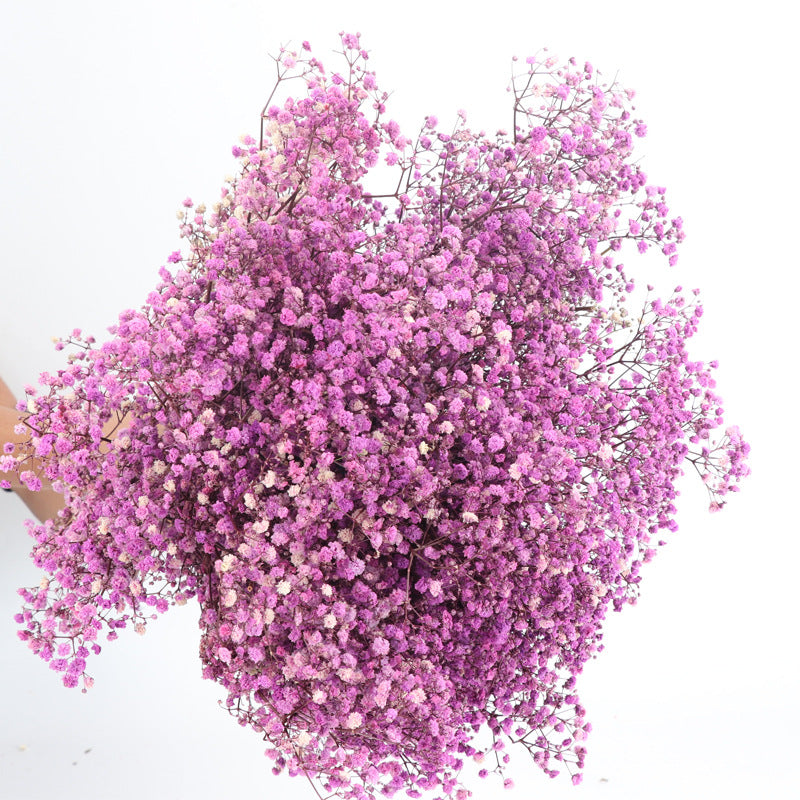 1 Bundle Dried Baby's Breath Gypsy Flowers, Natural Color, Wedding Floral Arrangement, Home Party Decor