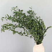Preserved Eucalyptus Stems Bulk Bundle for Crafts, Natural Green, 10 Pcs, 18 Inch