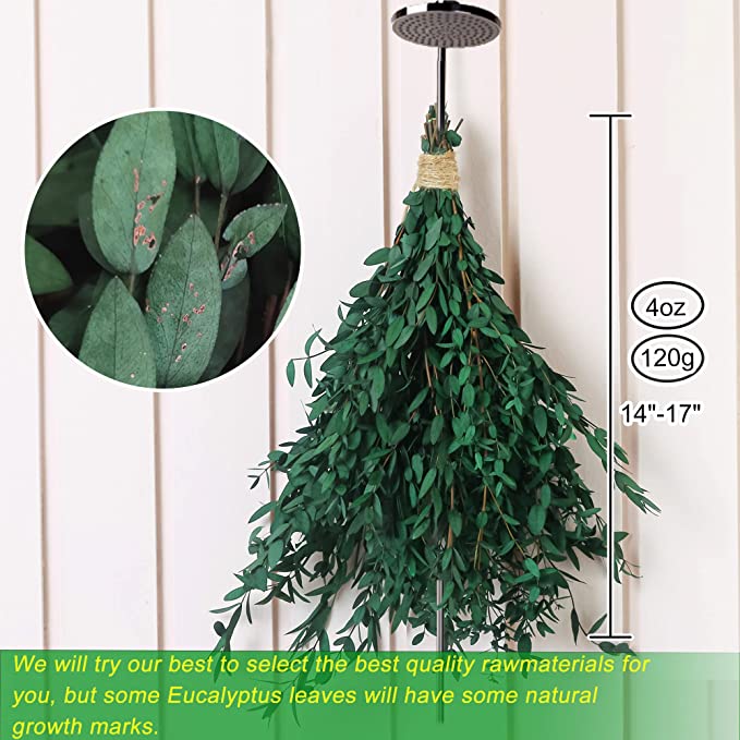 Preserved Eucalyptus Stems Bulk Bundle for Crafts, Natural Green, 10 Pcs, 18 Inch