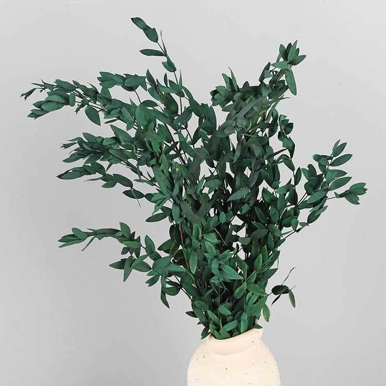 Preserved Eucalyptus Stems Bulk Bundle for Crafts, Natural Green, 10 Pcs, 18 Inch