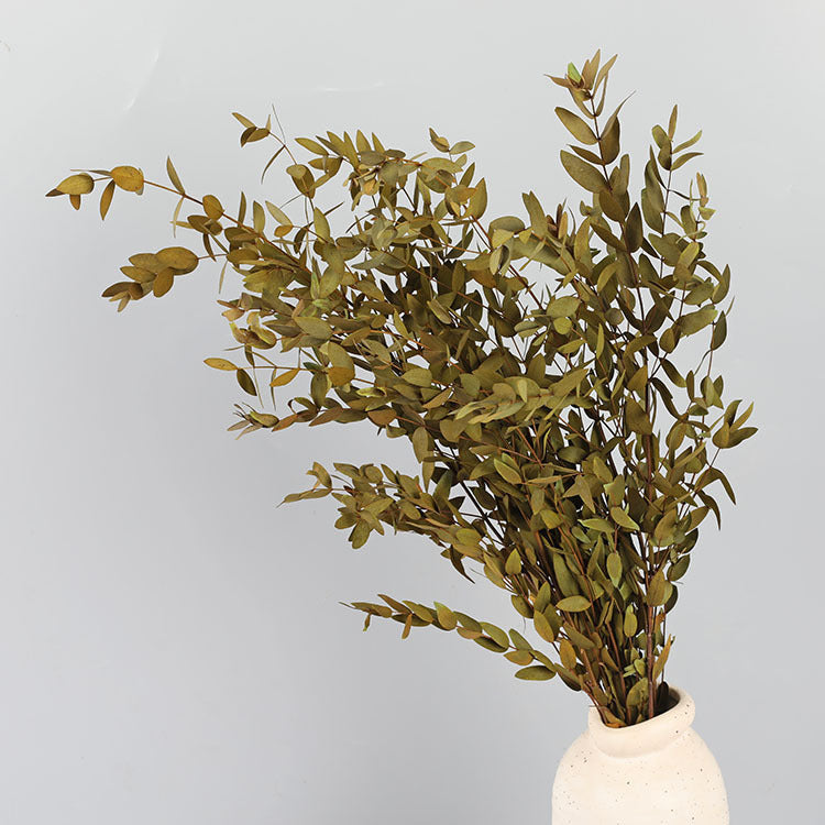 Preserved Eucalyptus Stems Bulk Bundle for Crafts, Natural Green, 10 Pcs, 18 Inch