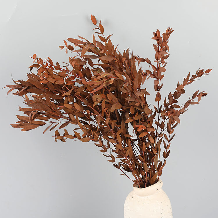 Preserved Eucalyptus Stems Bulk Bundle for Crafts, Natural Green, 10 Pcs, 18 Inch