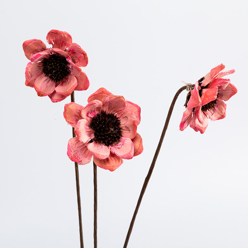 Dried Michelias Flowers for Decoration 2 Inch Size