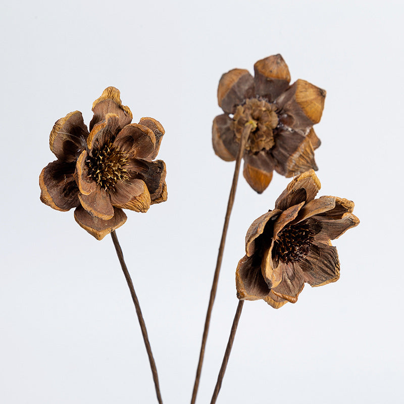 Dried Michelias Flowers for Decoration 2 Inch Size