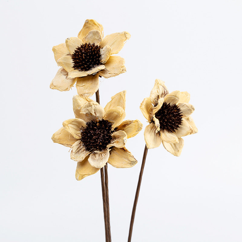 Dried Michelias Flowers for Decoration 2 Inch Size