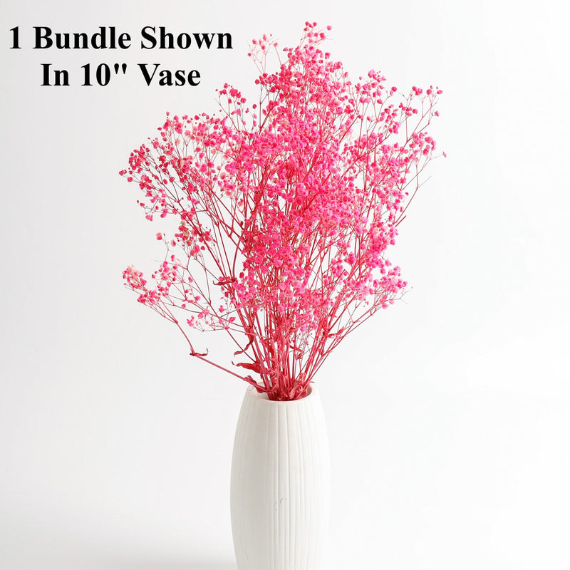 1 Bundle Dried Baby's Breath Gypsy Flowers, Natural Color, Wedding Floral Arrangement, Home Party Decor