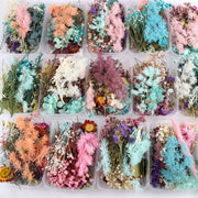 Dried Flowers DIY Material Box, Mixed Colors, Assorted Sizes, Natural Craft Supplies