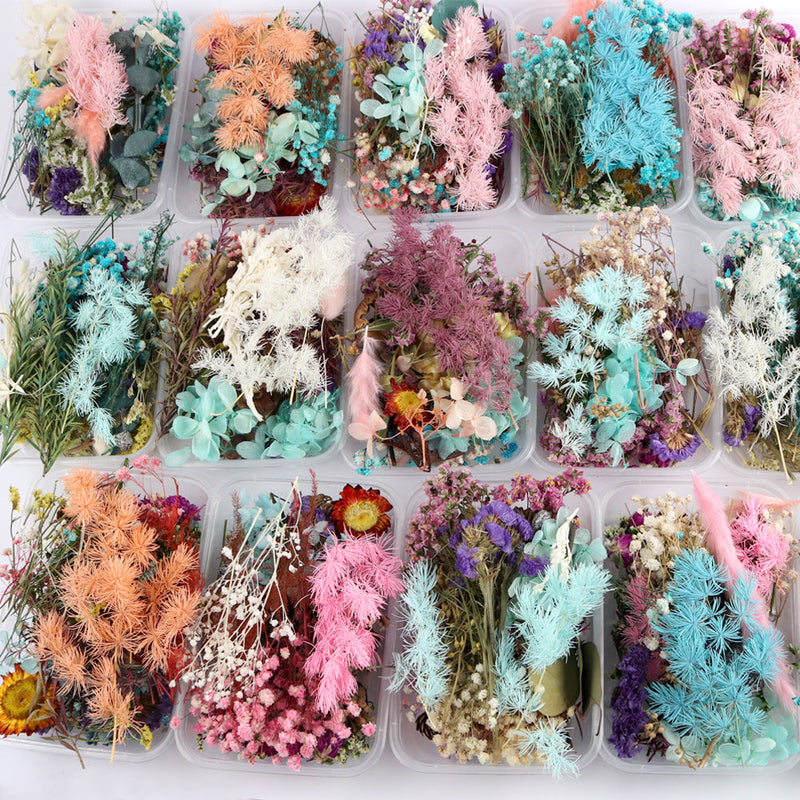 Dried Flowers DIY Material Box, Mixed Colors, Assorted Sizes, Natural Craft Supplies