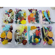Dried Flowers DIY Material Box, Mixed Colors, Assorted Sizes, Natural Craft Supplies