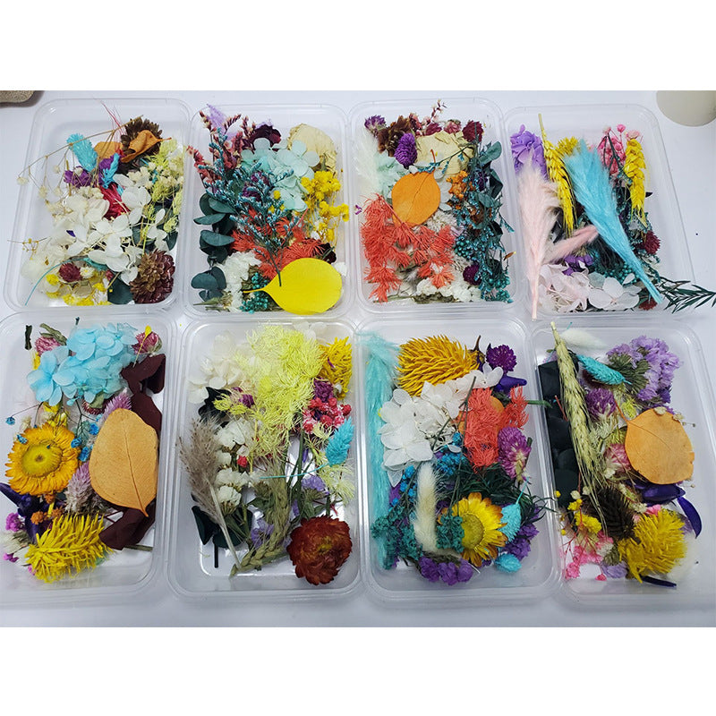 Dried Flowers DIY Material Box, Mixed Colors, Assorted Sizes, Natural Craft Supplies