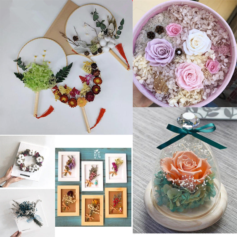 Dried Flowers DIY Material Box, Mixed Colors, Assorted Sizes, Natural Craft Supplies