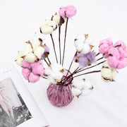 Dried Cotton Flowers 10 Stems 12 Inch Natural Decorative Bunch