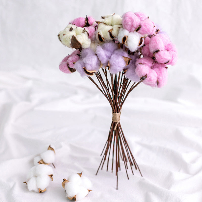 Dried Cotton Flowers 10 Stems 12 Inch Natural Decorative Bunch