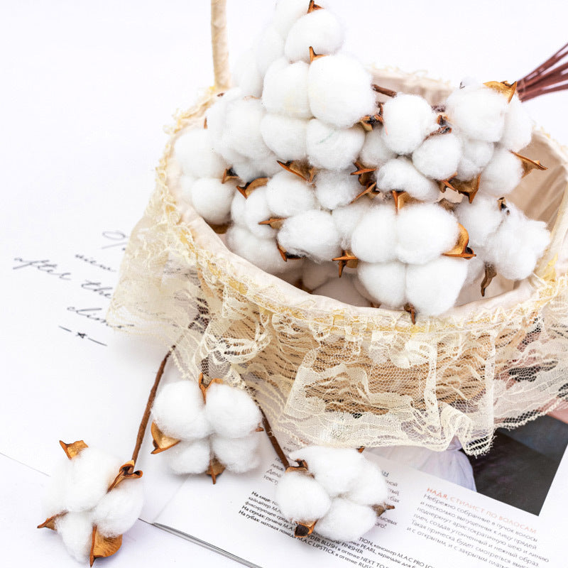 Dried Cotton Flowers 10 Stems 12 Inch Natural Decorative Bunch