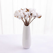 Dried Cotton Flowers 10 Stems 12 Inch Natural Decorative Bunch