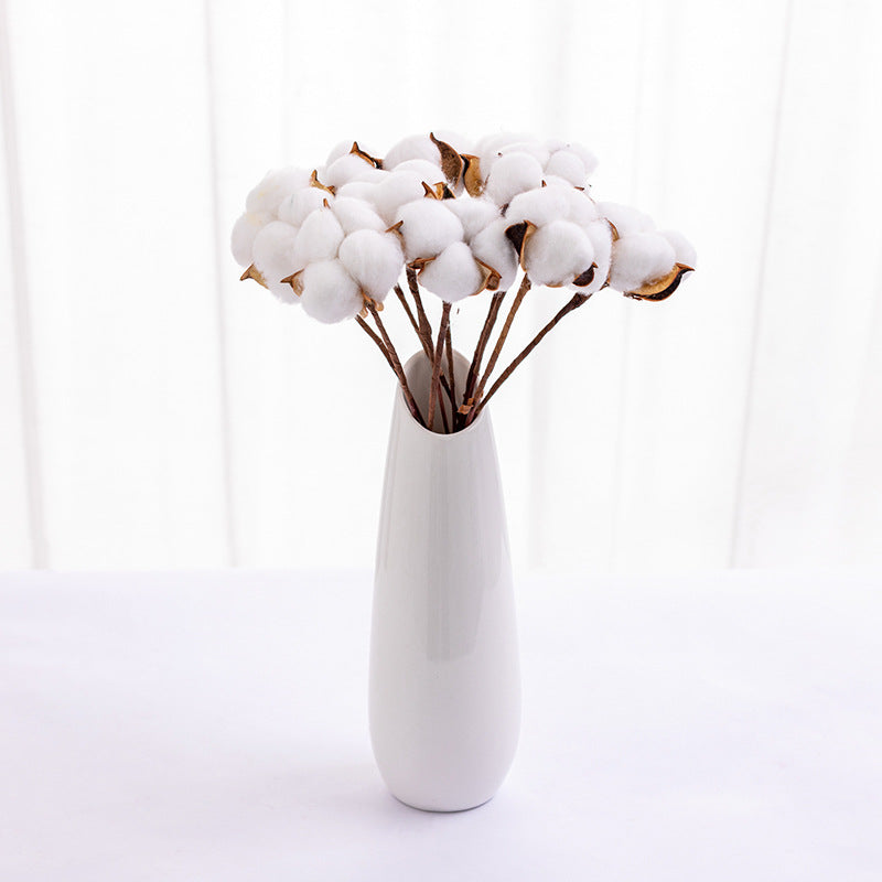 Dried Cotton Flowers 10 Stems 12 Inch Natural Decorative Bunch