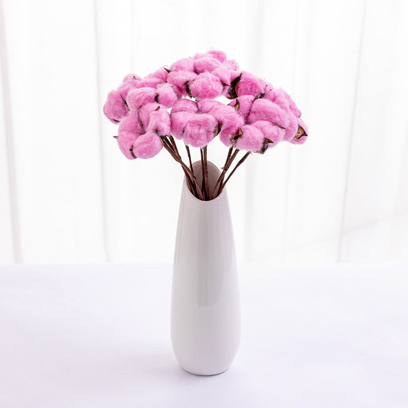 Dried Cotton Flowers 10 Stems 12 Inch Natural Decorative Bunch