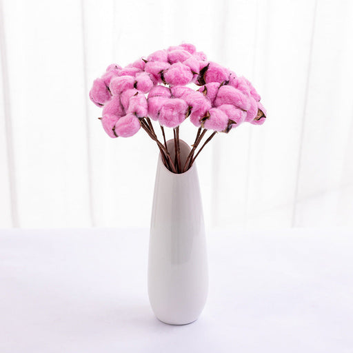 Dried Cotton Flowers 10 Stems 12 Inch Natural Decorative Bunch