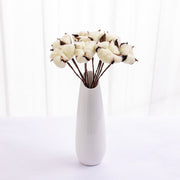Dried Cotton Flowers 10 Stems 12 Inch Natural Decorative Bunch