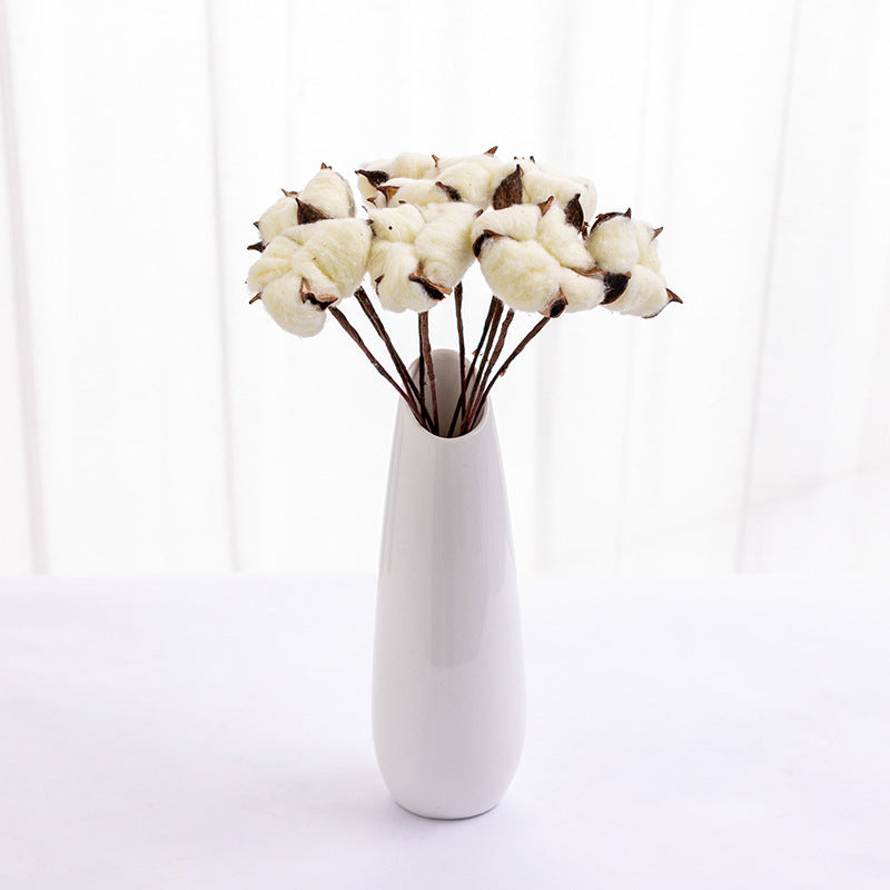 Dried Cotton Flowers 10 Stems 12 Inch Natural Decorative Bunch
