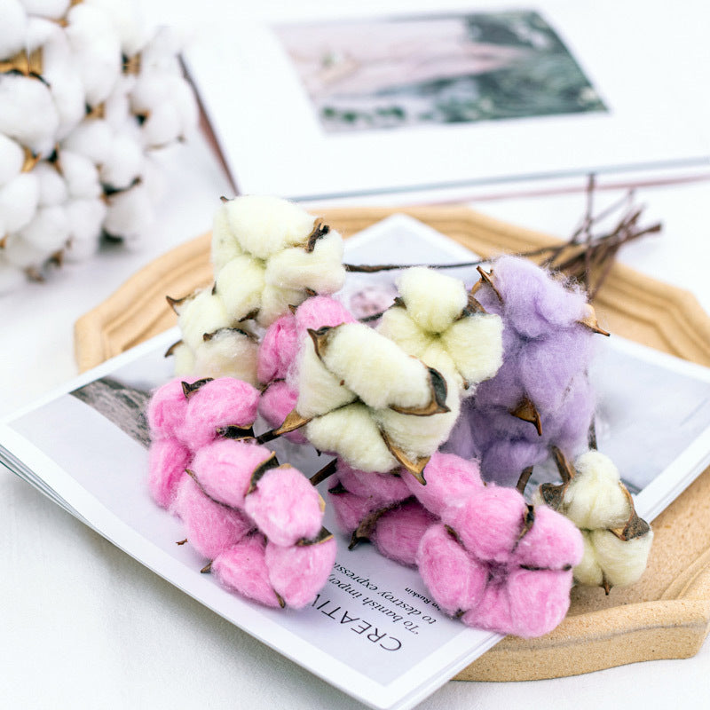 Dried Cotton Flowers 10 Stems 12 Inch Natural Decorative Bunch