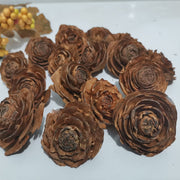 Dried Natural Pine Cones for Decoration and DIY Crafts, 50 Pieces, Natural Brown