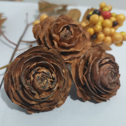 Dried Natural Pine Cones for Decoration and DIY Crafts, 50 Pieces, Natural Brown