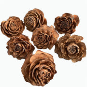 Dried Natural Pine Cones for Decoration and DIY Crafts, 50 Pieces, Natural Brown