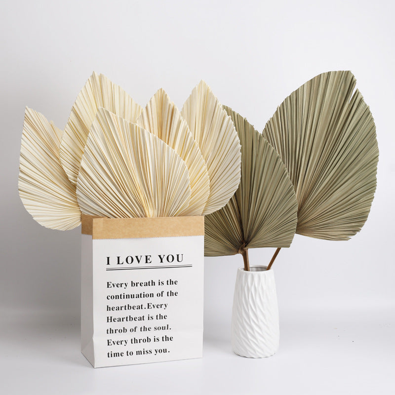 Dried Palm Leaves Fan Shape Natural Boho Decor 12 Inch 5 Pcs