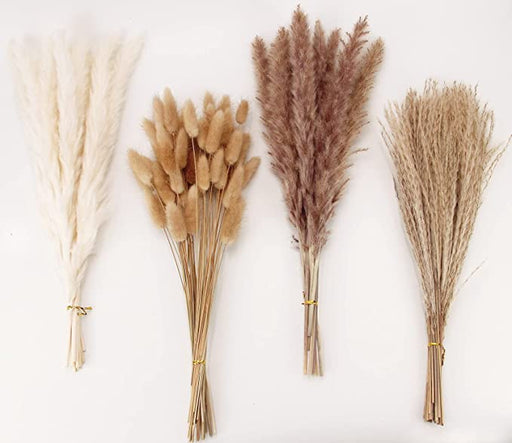 100 Pcs 17 Inch Pampas Grass Bunny Tails Dried Flowers Bulk Artificial Decor