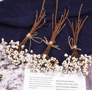 Dried White Nuts DIY Auxiliary Material 12 Inch Natural Decorative Craft Supplies