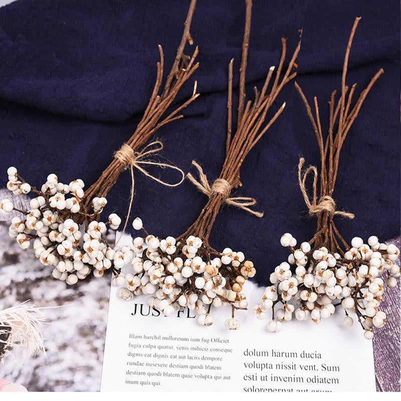 Dried White Nuts DIY Auxiliary Material 12 Inch Natural Decorative Craft Supplies