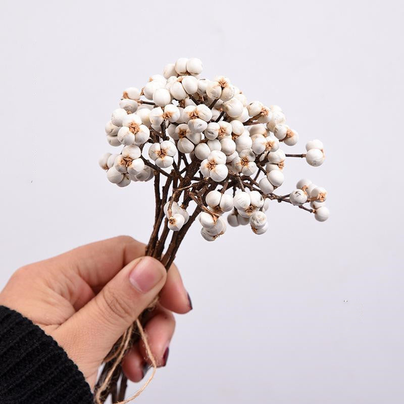 Dried White Nuts DIY Auxiliary Material 12 Inch Natural Decorative Craft Supplies