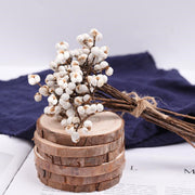 Dried White Nuts DIY Auxiliary Material 12 Inch Natural Decorative Craft Supplies