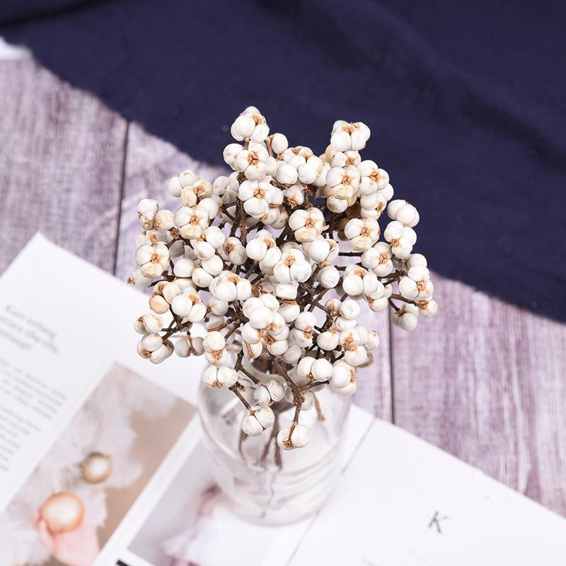 Dried White Nuts DIY Auxiliary Material 12 Inch Natural Decorative Craft Supplies