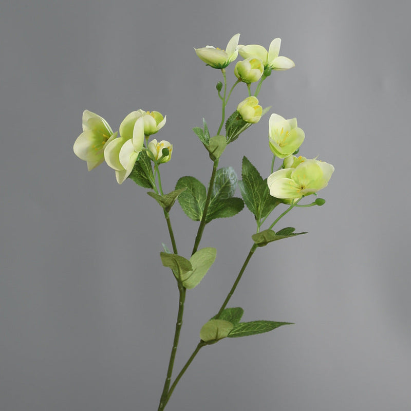 21 Inch Artificial Silk Eranthis Branch Stems, 10 Pcs Bulk Pack