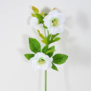 20 Inch Artificial Eranthis Silk Flowers - 10 Stems Bulk Eranthis Stems