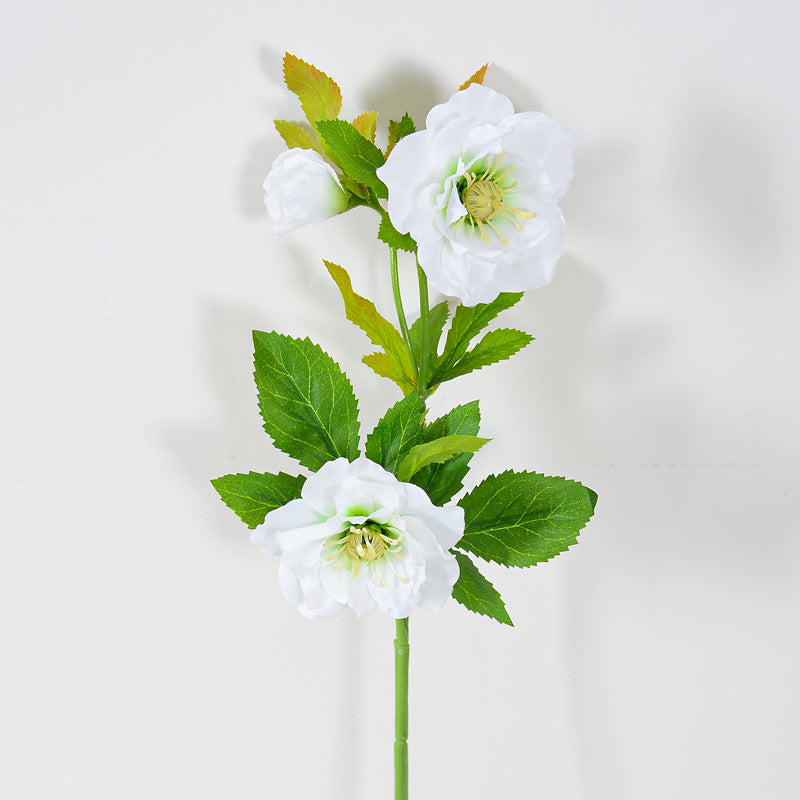 20 Inch Artificial Eranthis Silk Flowers - 10 Stems Bulk Eranthis Stems