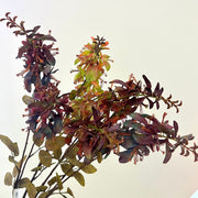 24 Inch Erythrina Artificial Flower Stems 10 Pcs Autumnal Colors Silk Floral Arrangements