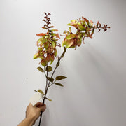 24 Inch Erythrina Artificial Flower Stems 10 Pcs Autumnal Colors Silk Floral Arrangements