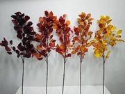 39 Inch Extra Tall Autumn Fagus Leaf Plum Branches 6 Stems Fall Artificial Plants