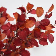39 Inch Extra Tall Autumn Fagus Leaf Plum Branches 6 Stems Fall Artificial Plants